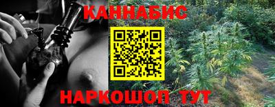дживик Бийск