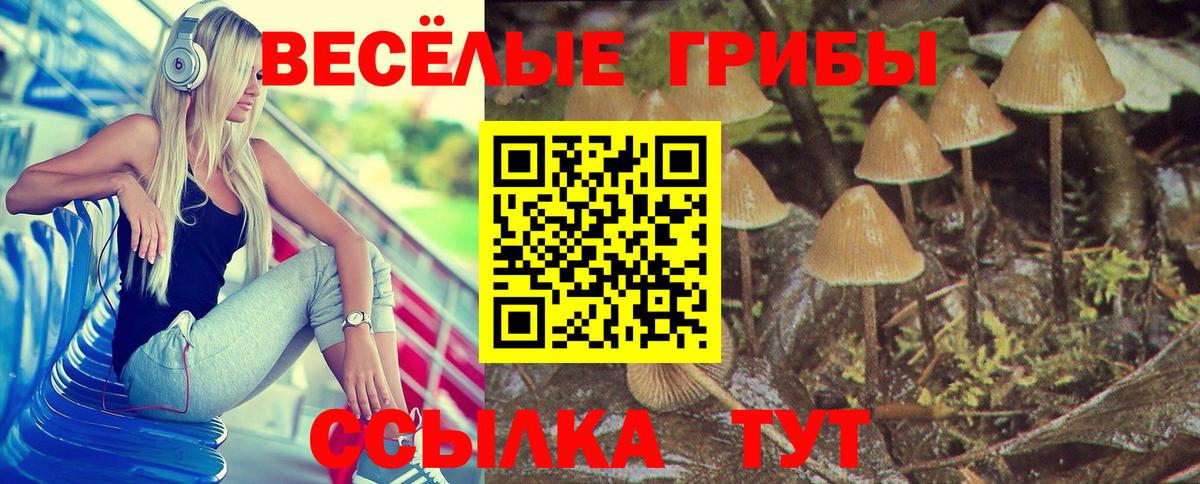 Псилоцибиновые грибы Cubensis  наркотики  Карталы  Вход с VPN 